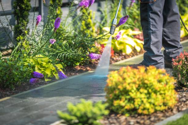Best Dumpster Area Cleaning  in Cortez, FL
